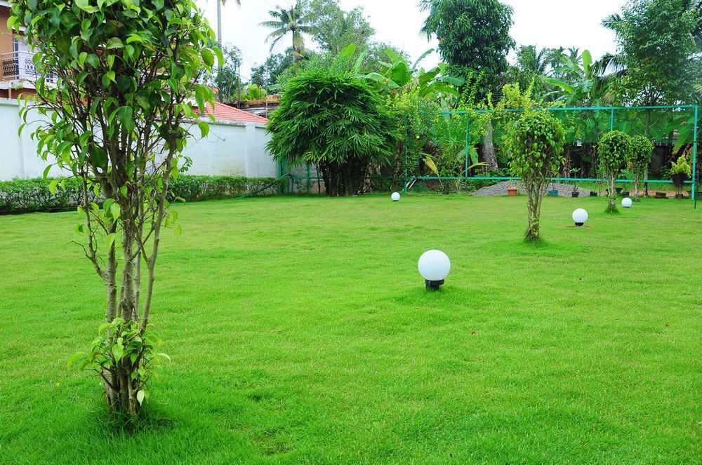 Cosy Regency Bed & Breakfast Alappuzha Exterior photo