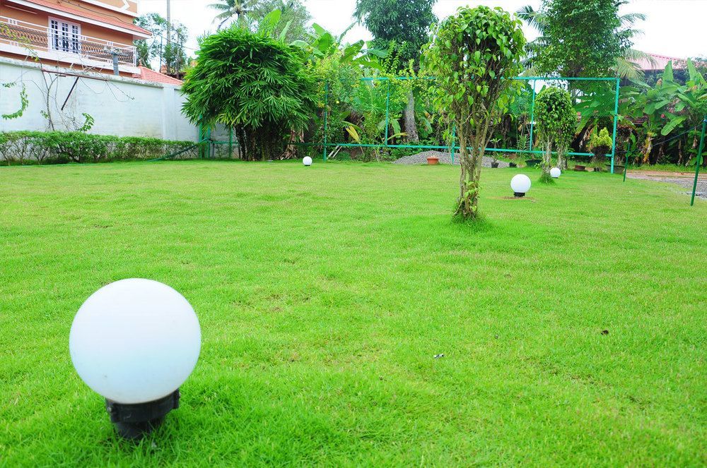 Cosy Regency Bed & Breakfast Alappuzha Exterior photo